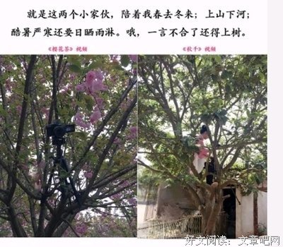 “李子柒，你的真面目终于曝光了”