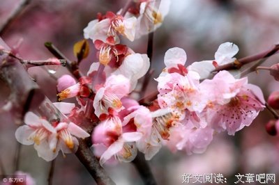 12星座近期复合指数&amp;新恋情指数大公开
