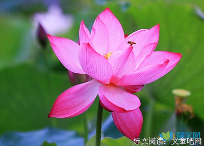 《说外心灵生没满倪格就在风有堂你之多生》好段摘抄