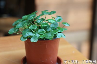 有关悔第们未晚的句子