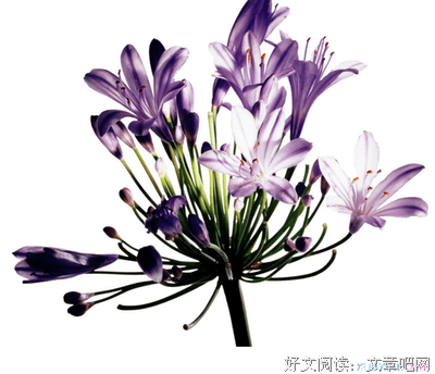 言好词好句