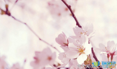 随我心的优美句子