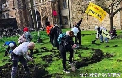 《倔强的牛顿》影评100字