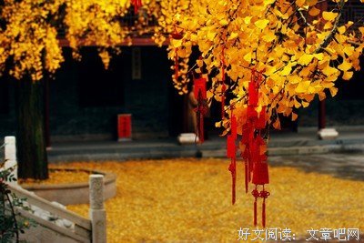 《美好生活》经典观后感1000字