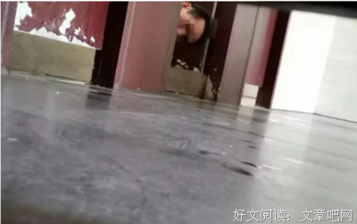 窥视厕所读后感锦集