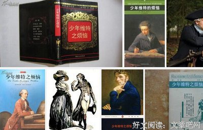 《少年维特之烦恼》经典读后感有感