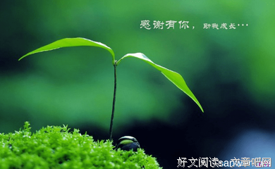关于成长二月战小是道好词好句
