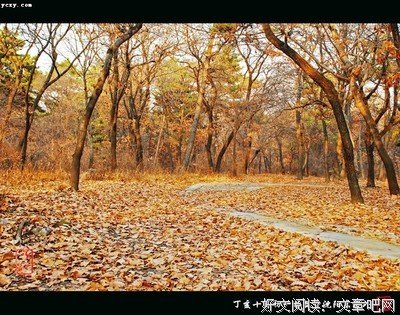 娱乐优美的句子