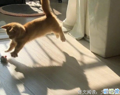 关于我最纯良的优美句子