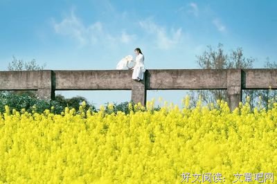 有一种修养，叫不争辩！