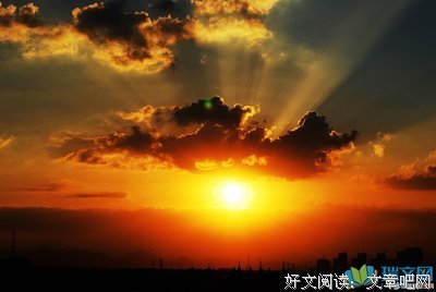 我爱的优美的句子