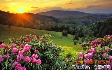 刹道为别芳华句子大全