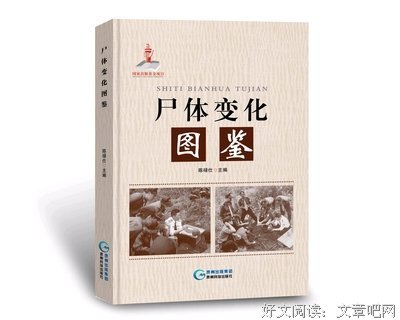 逝者之书的读后感大全