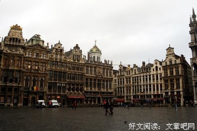 《比利时的哀愁》读后感100字