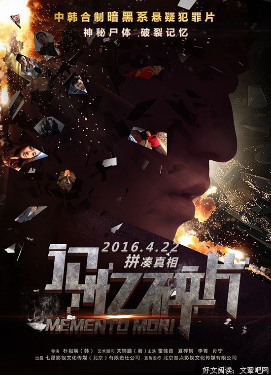 记忆碎片读后感锦集