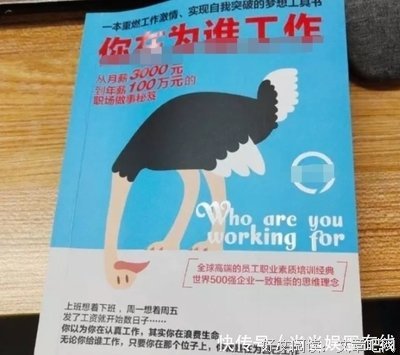 《老板要的不是牛》读后感精选