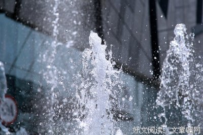 《怀抱花月的水妖》经典读后感有感