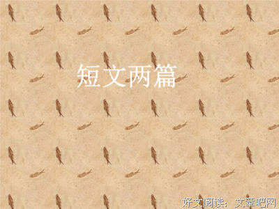 关于不求甚解的格言