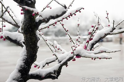 描写铁骨铮铮的经典句子