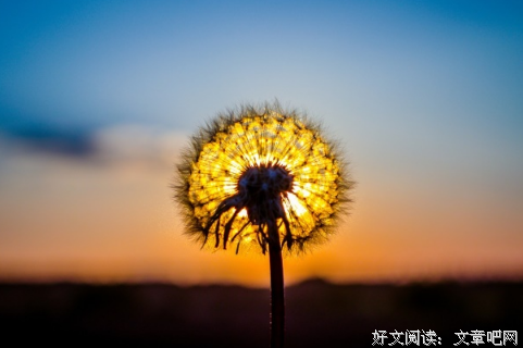 有关不走水不言°的句子