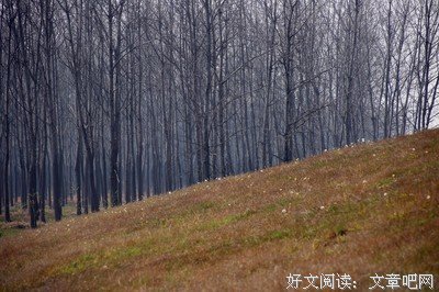 安笙凉城的句子