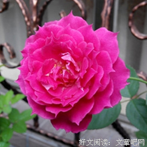 天方夜谭的语句摘抄_关于天方夜谭的语句