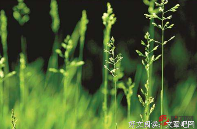 关于意乱情迷的名句摘抄