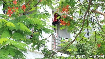 关于泥沙俱下的语句