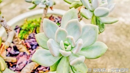 村上春树经典的句子