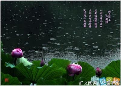 散文：夏天