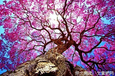 情感经典名句