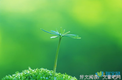 关于集的句子