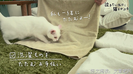 《想哭的我戴上了猫的面具》经典观后感有感