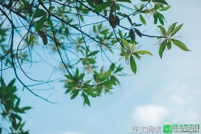 《女人永远是对的》观后感100字