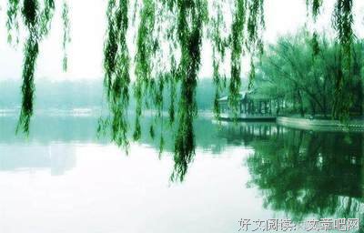 良辰美景的读后感大全