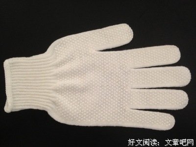 我的高密的读后感大全