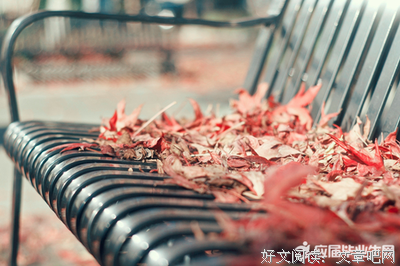 好笑的爱读后感精选