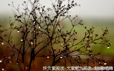 描写独一无二的语句摘抄