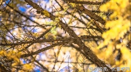 想不到的名言_关于想不到的名言