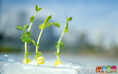 微不足道格言警句