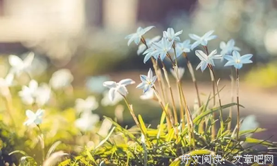 做人，良心排第一！