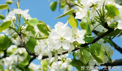 关于现代句的优美句子