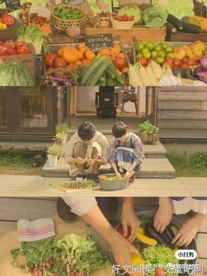  治愈、心中的窗户经典名句
