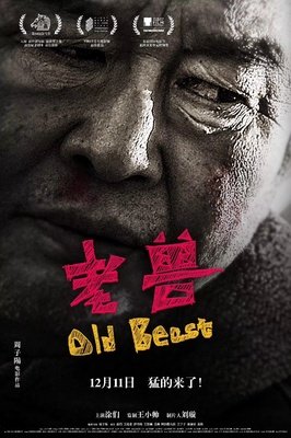 《老兽》的影评大全