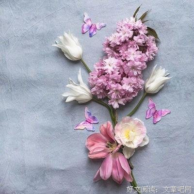 关于心会家所可到年的句子