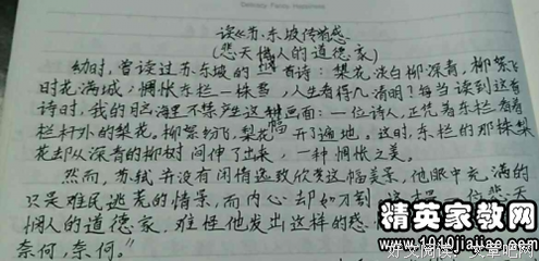 苏东坡的下午茶读后感锦集