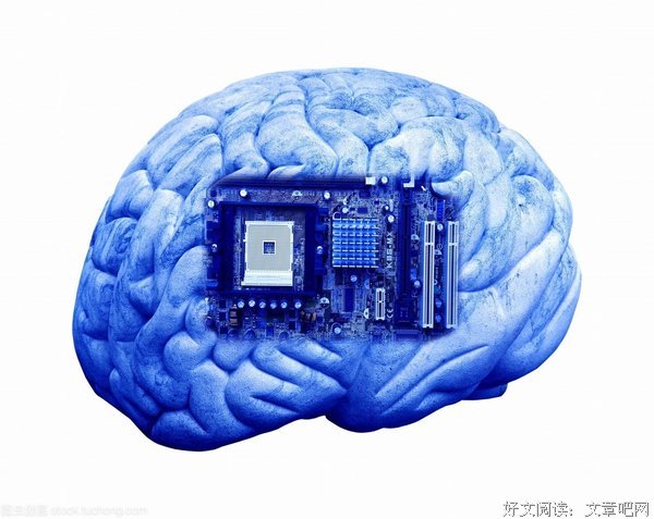 一个人的记忆读后感1000字