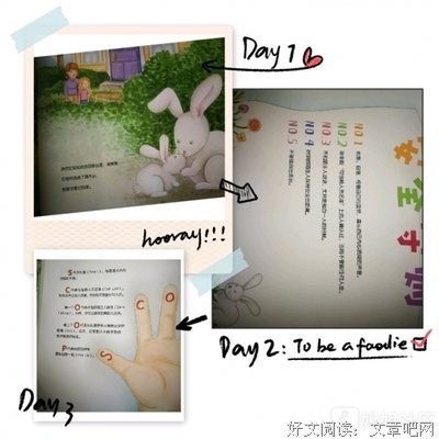 边走边啃腌萝卜的读后感大全