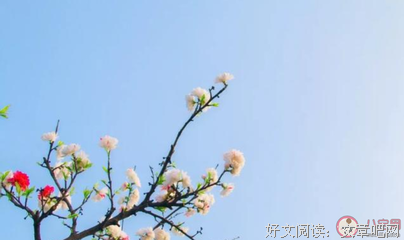 关于春暖花开的语句
