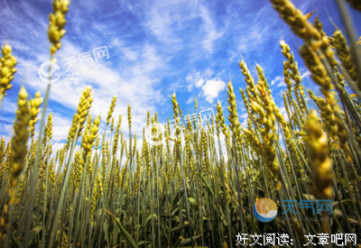 关于一帆风顺的语句
